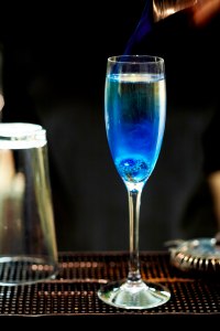 zenna-blue-blood-champagne