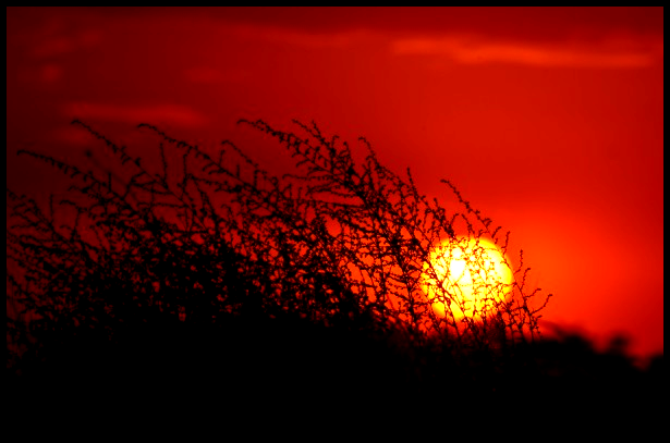 Writing: A Hermit’s Journey